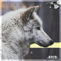 Photo d'avatar d'Equideow .